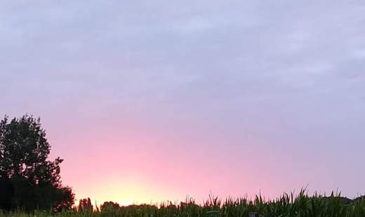 moestent-tuinhierdeinze